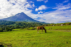Arenal Arenal